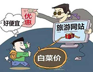 農(nóng)村旅游網(wǎng)站建設(shè)及用戶(hù)體驗(yàn)度的提高？