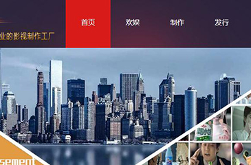  河南影視行業(yè)網站開發(fā)案例