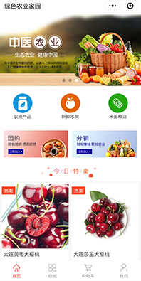 團(tuán)購分銷商城小程序開發(fā)